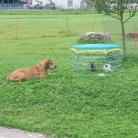 ファームステイ Lenzerhof *